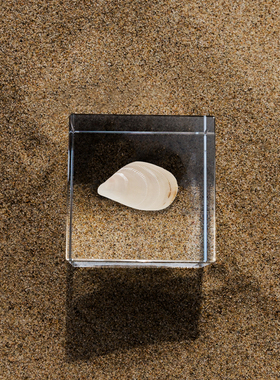 贝壳贻贝立方体摆件工艺品礼物