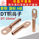 凤凰铜鼻子铜电缆接线端子线耳国标单孔堵油铜接头DT 10平方电线