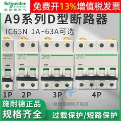 施耐德IC65N空气开关1P2P3P4P小型A9断路器D型10A16A 25A 32A 63A