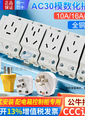 正泰AC30模数化插座五孔二插三插四孔16A配电箱导轨式25工业用10A