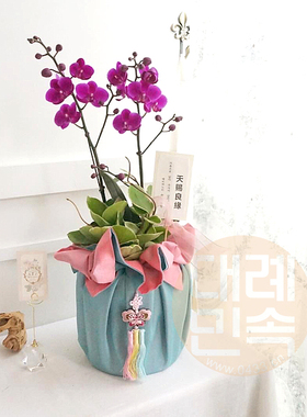 礼品包布 送礼包装 双层石垃泊布料150cm37+38H-P03739