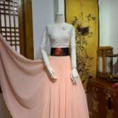 韩服H 朝鲜族民族服装 舞蹈练习上衣和540度裙子跳舞穿 S11217