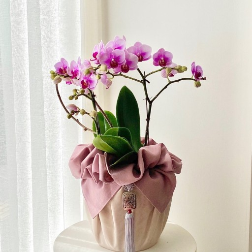 礼品包布 送礼包装 韩国进口双层石垃泊150cm19 29号h-p10900