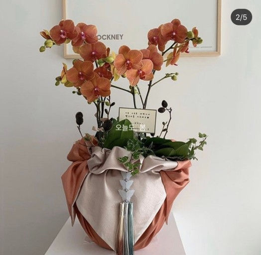 礼品包布 送礼包装 韩国进口双层石垃泊150cm9 19号h-p10889