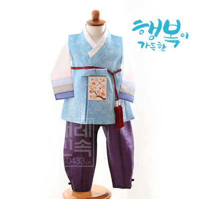 儿童韩服男孩舞蹈演出服朝鲜舞蹈服装男童韩服1-11号现货E01327