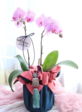 礼品包布 送礼包装 韩国进口双层石垃泊150cm3+39号H-P10927