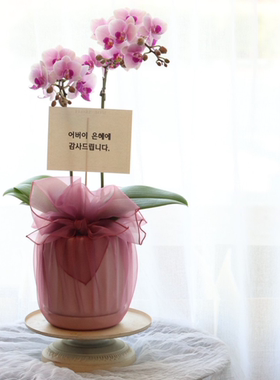 礼品包布 送礼包装 韩国进口单层砖石纱19号H-P11097