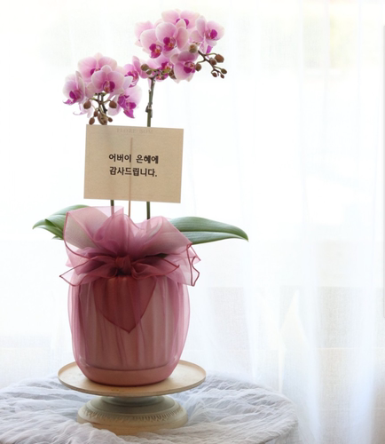 礼品包布送礼包装韩国