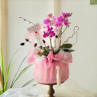 礼品包布送礼包装韩国进口