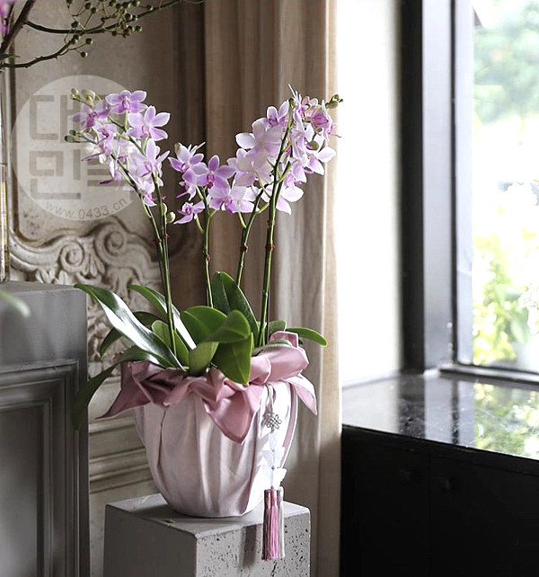 礼品包布 送礼包装 双层石垃泊150cm34*29h-p03439