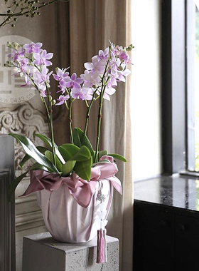 礼品包布 送礼包装 双层石垃泊150cm34*29H-P03439