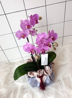 礼品包布 送礼包装 韩国进口双层石垃泊110cm41+59号H-P10935