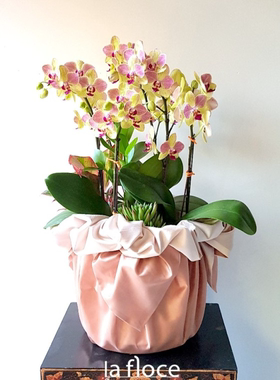 礼品包布 送礼包装 韩国进口双层石垃泊150cm19+35号H-P10875