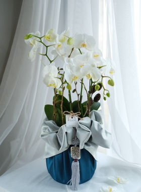 礼品包布 送礼包装 韩国进口双层石垃泊150cm号H-P10867