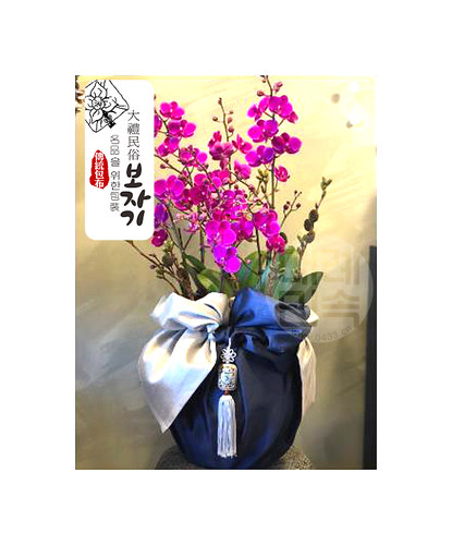 礼品包布送礼包装韩国