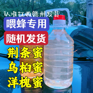 蜂具秋季春季繁蜂口粮饲料蜜蜂吃的蜂蜜洋槐蜜乌桕蜜荆条蜜随机发