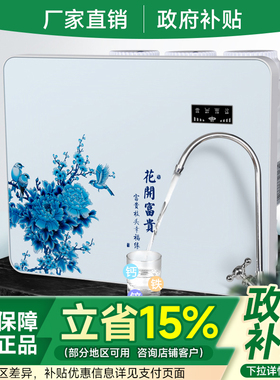 净水器家用直饮RO反渗透厨房自来水井水五级过滤纯水机白色净水机