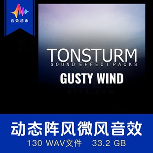 高动态阵风微风环绕风声音效库 Tonsturm Gusty Wind