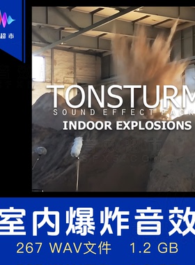 室内空间爆炸音效 大厅走廊通道爆破 Tonsturm Indoor Explosions