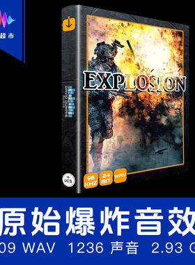 原始爆炸科幻爆炸音效 David Dumais Audio - Explosion SFX Pack