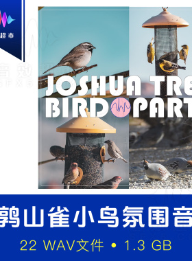 官方授权·鹌鹑山雀等小鸟叫声氛围音效 Joshua Tree Bird Party