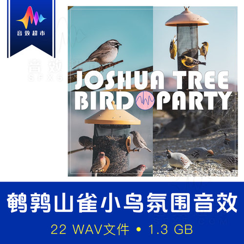 官方授权·鹌鹑山雀等小鸟叫声氛围音效 Joshua Tree Bird Party