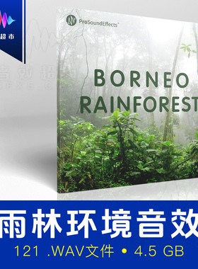 丛林雨林虫鸣环境氛围音效 Pro Sound Effects Borneo Rainforest