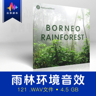 丛林雨林虫鸣环境氛围音效 Pro Sound Effects Borneo Rainforest