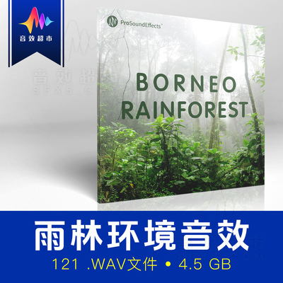 丛林雨林虫鸣环境氛围音效 Pro Sound Effects Borneo Rainforest