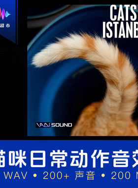 猫咪哈基米叫声吃饭睡觉哈气音效 Vadi Sound Cats Of Istanbul
