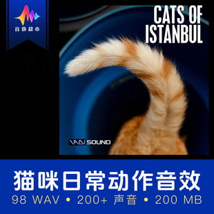 猫咪哈基米叫声吃饭睡觉哈气音效 Vadi Sound Cats Of Istanbul
