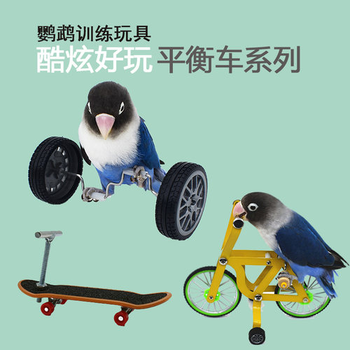 鹦鹉玩具平衡车训鸟道具