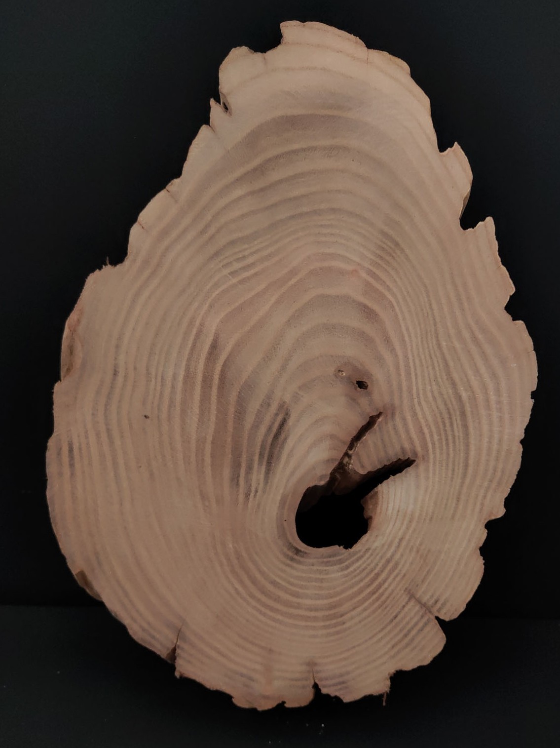 [618 SOLID WOOD TEXTURE] WOOD ORNAMENTS UNIQUE TEXTURES INGENIOUS DECORATIONS HOME GIFTS