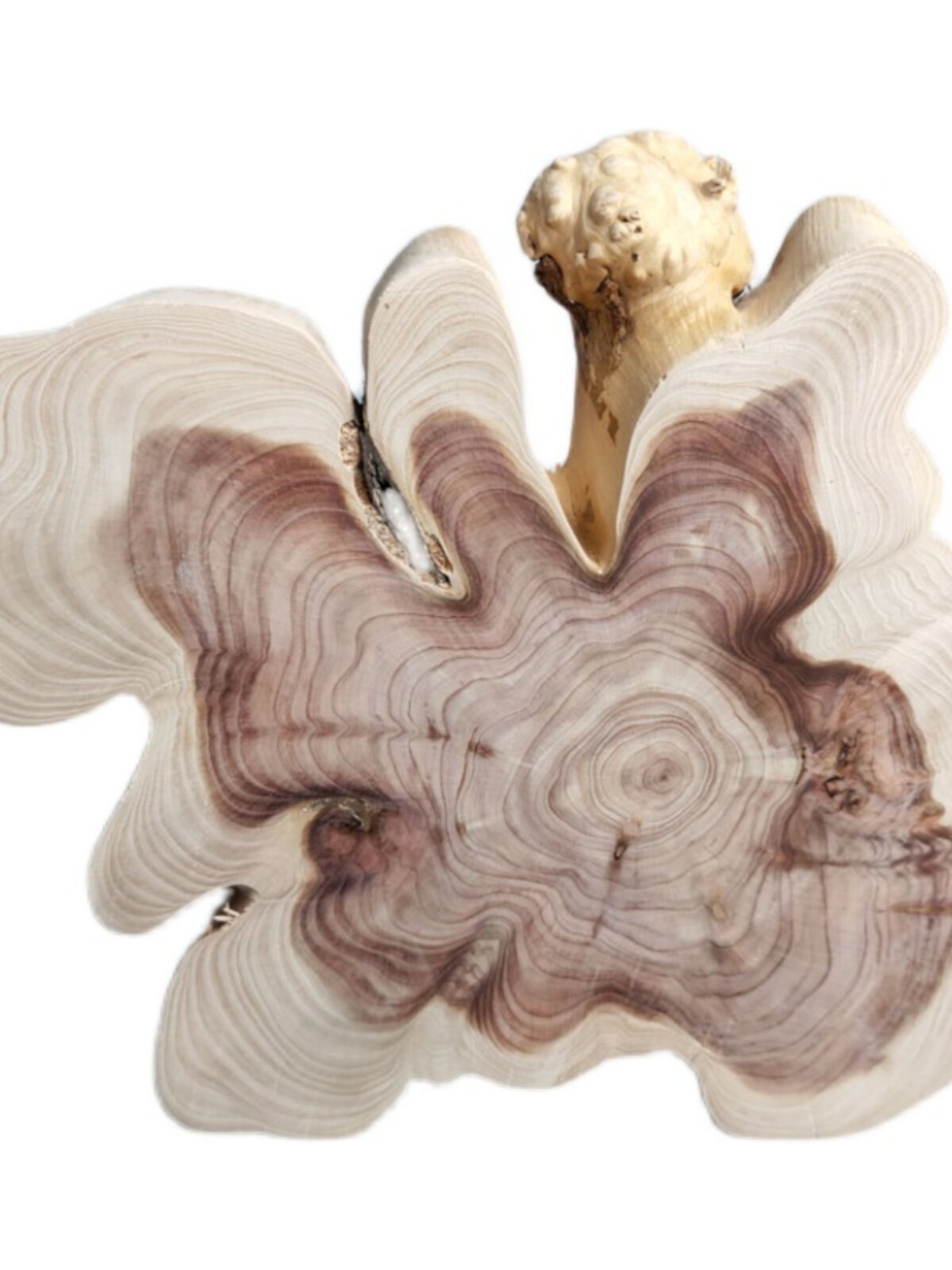 [618 SOLID WOOD TEXTURE] WOOD ORNAMENTS UNIQUE TEXTURES INGENIOUS DECORATIONS HOME GIFTS