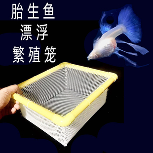 手工玛丽孔雀鱼卵胎生鱼隔离网 水族鱼缸孵化器繁殖笼斑马鱼自浮式