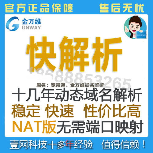 金万维远程访问快速稳定