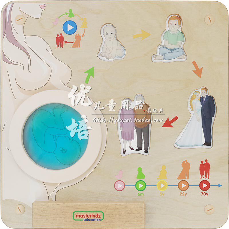 植物成长探索儿童墙面游戏操作板