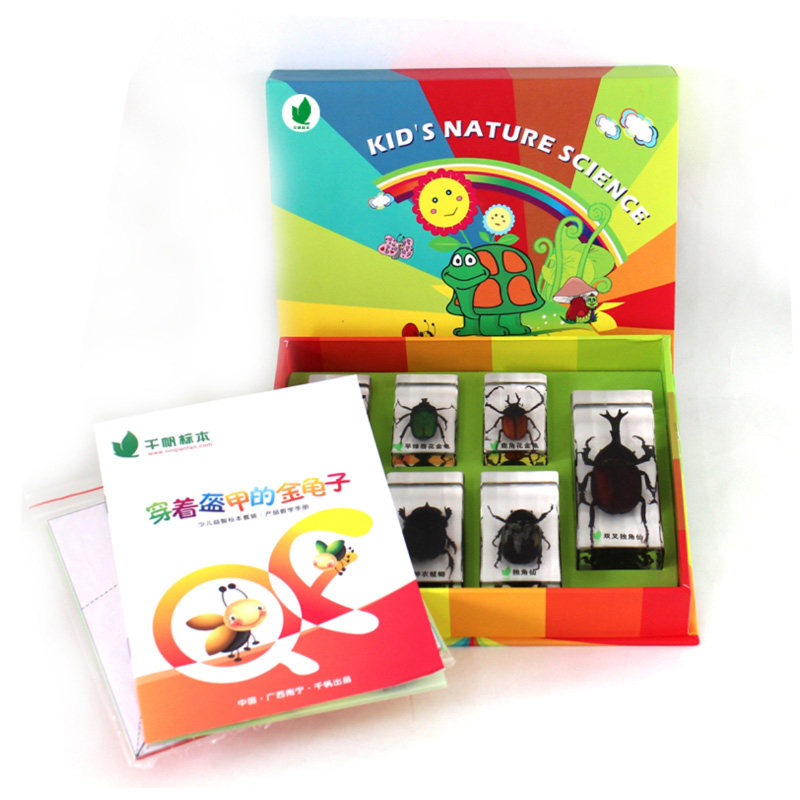 穿着盔甲的金龟子幼儿早教园儿童科学实验室昆虫科普包埋标本