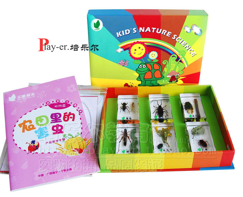 农田里的害虫儿童幼儿园科学实验室观察发现包埋植物标本
