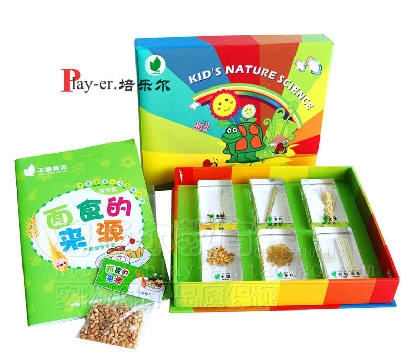 幼儿园认识标本科学实验室