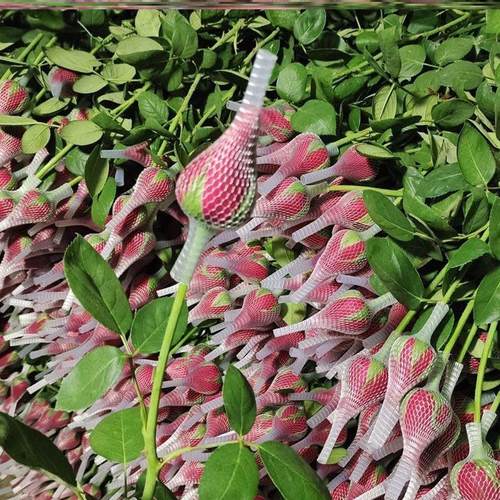 花束鲜花网花蕾花卉DIY手工材料月季花塑型保护网玫瑰花网套