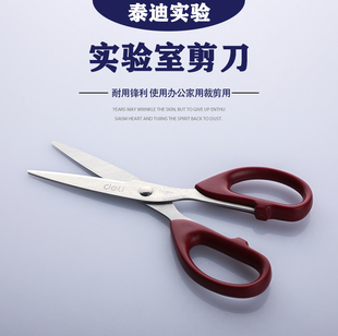 学生手工剪纸刀便捷 得力剪刀6034 修剪花艺 家用剪刀 实验室剪刀