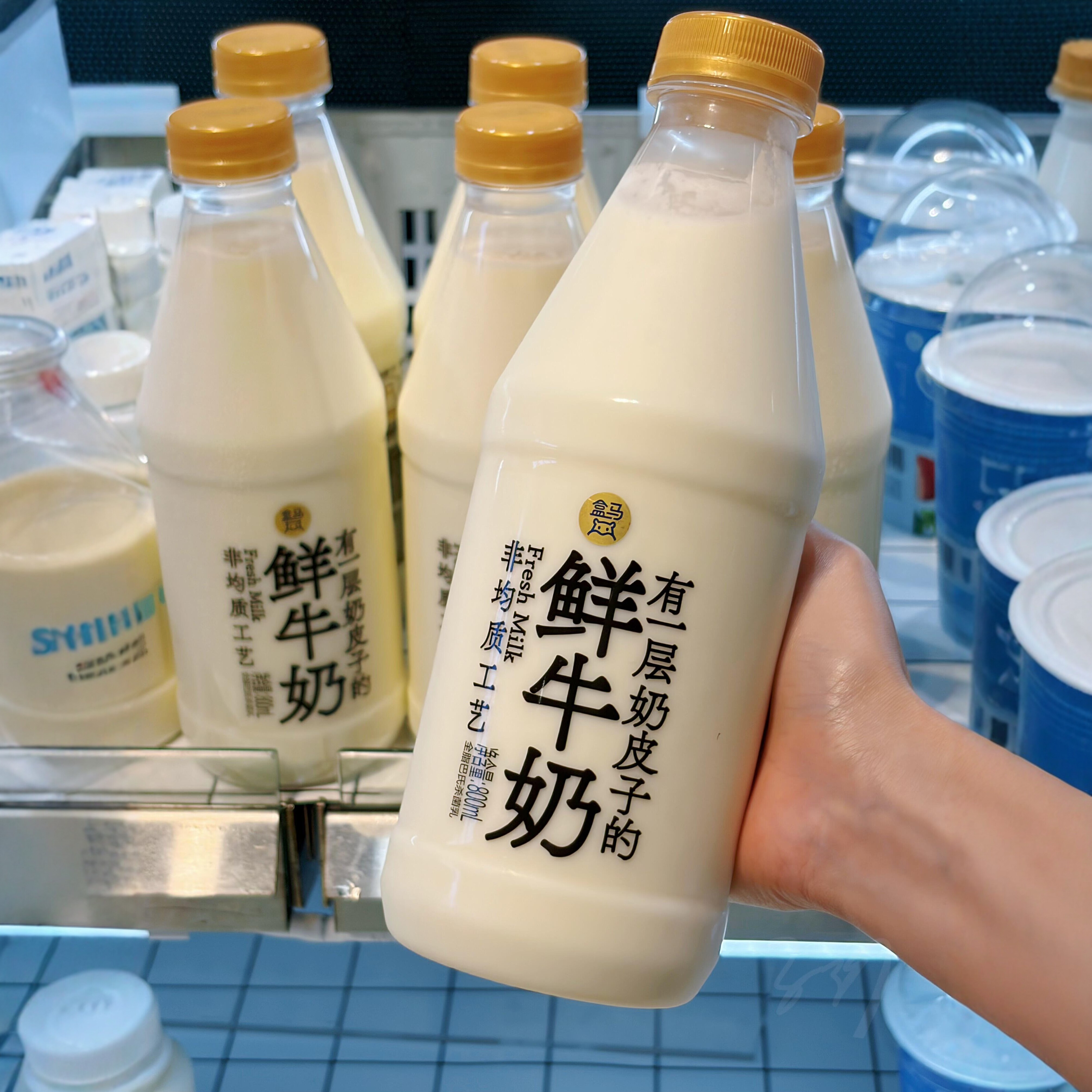 盒马有一层奶皮子的鲜牛奶800ml全脂巴氏杀菌乳奶皮子鲜牛乳
