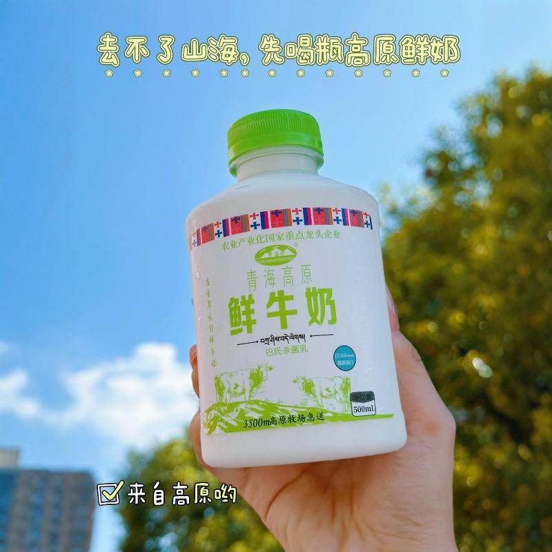 青海湖鲜牛奶500ml巴氏杀菌青海高原牛奶娟姗鲜奶酪蛋白低温鲜奶,咖啡/麦片/冲饮,低温奶,淘宝优惠券,粉丝福利购,淘宝优惠卷