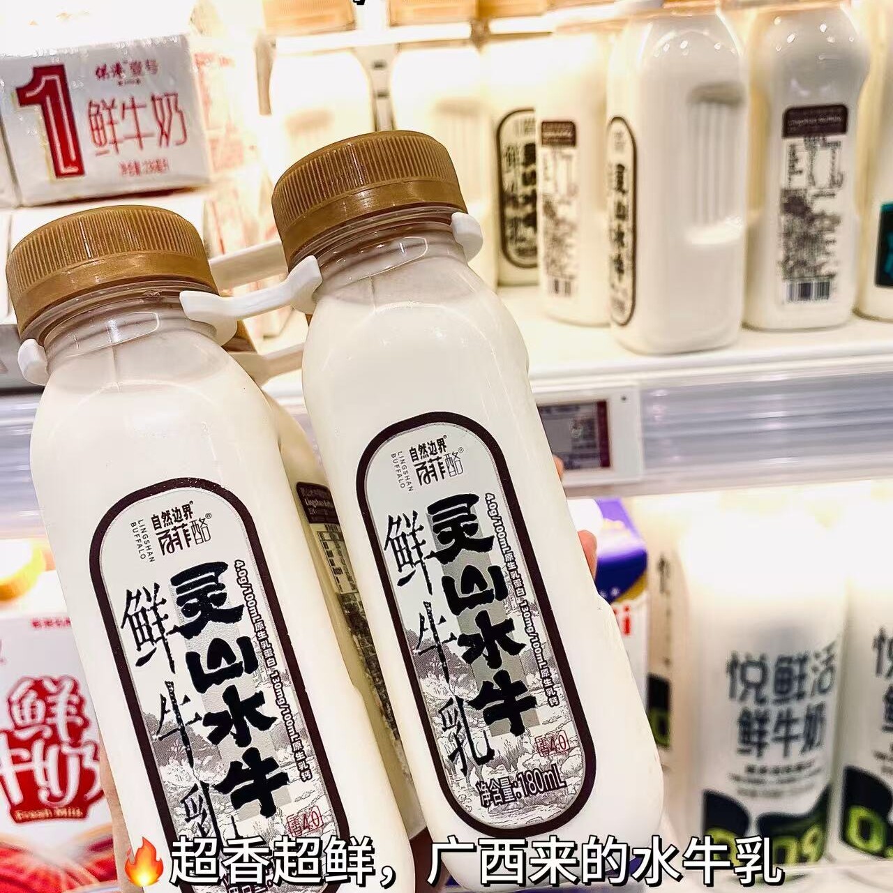 盒马灵山水牛鲜牛乳百菲酪水牛奶纯牛奶儿童牛奶早餐奶广西牛奶