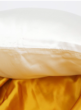 6A正品双面重磅真丝枕套22姆2850姆单人加大枕套queen size 51*76