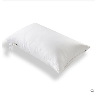 斤 净重1斤 抱枕 桐乡 2.5斤 桑蚕丝枕头 靠枕 100%