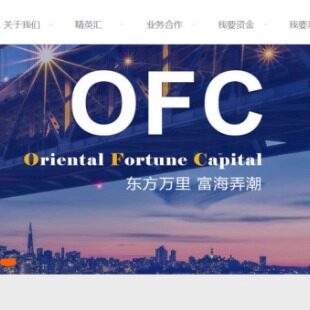 响应式基金管理网站模板