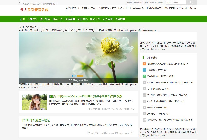 无缝自动切换手机平板版