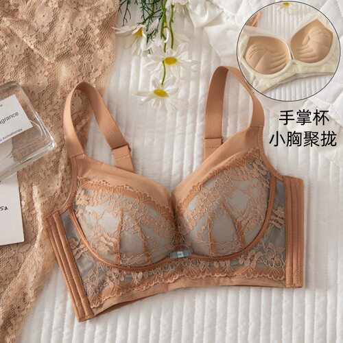正品奢华蕾丝调整型内衣女无钢圈聚拢加厚文胸手掌杯平胸A专用6CM